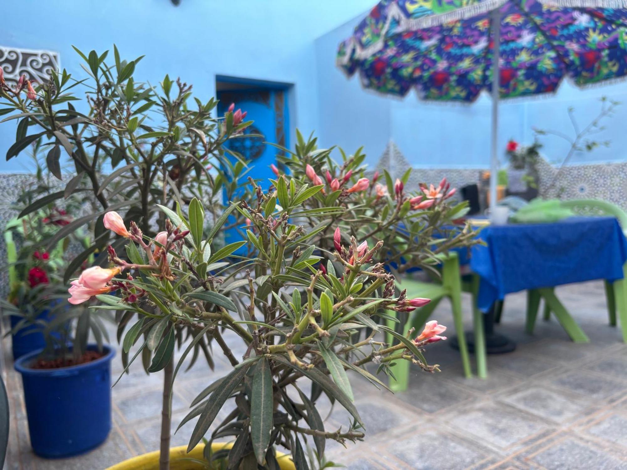 Villa Casa Morisca Sidi Ifni Exterior foto