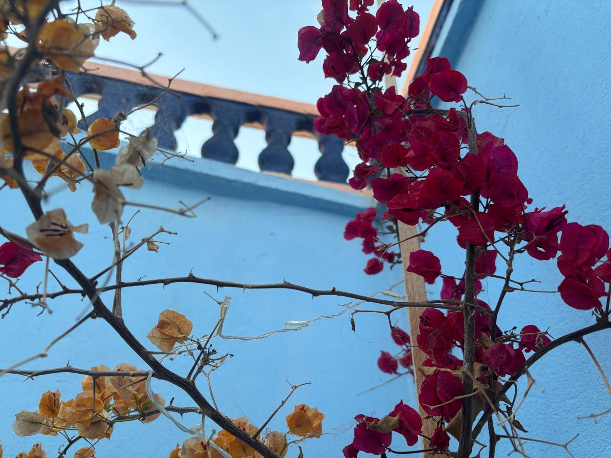 Villa Casa Morisca Sidi Ifni Exterior foto